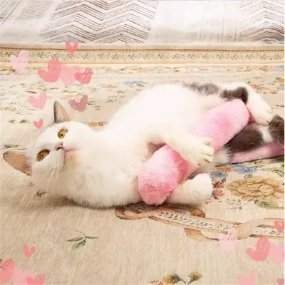 IntiMeg Coussin pour chat avec herbe à chat