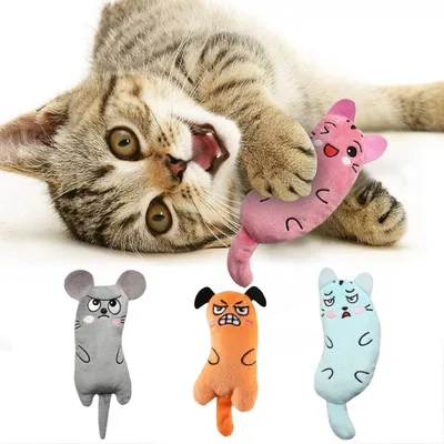 IntiMeg Jouets en peluche avec herbe à chat pour chat