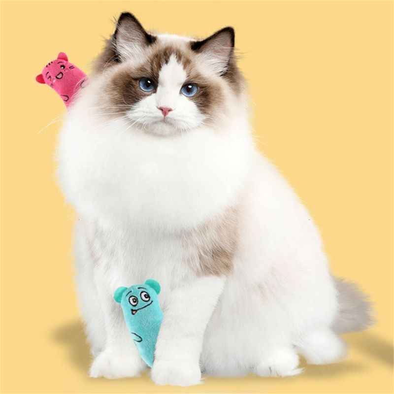 IntiMeg Jouets en peluche avec herbe à chat pour chat