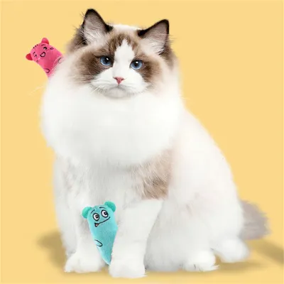 IntiMeg Jouets en peluche avec herbe à chat pour chat