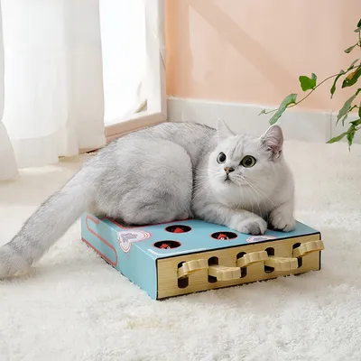 FurryFusion Jouet pour chat Whack-A-Mole