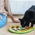 IntiMeg Jeu d'intelligence pour chat