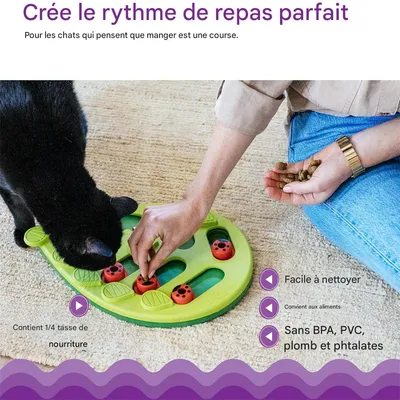 IntiMeg Jeu d'intelligence pour chat