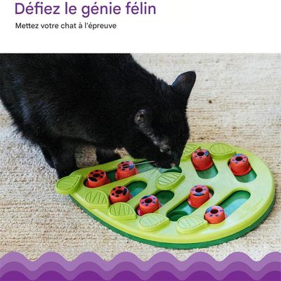 IntiMeg Juego de inteligencia felina