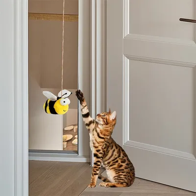 IntiMeg Jouet pour chat suspendu
