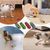 UAMLY Jouet électrique mobile en forme de coccinelle pour chats