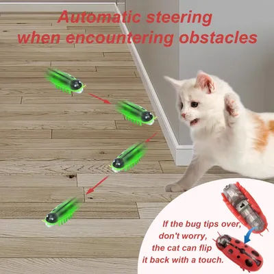 UAMLY Jouet électrique mobile en forme de coccinelle pour chats