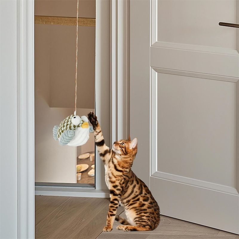 IntiMeg Jouet pour chat suspendu