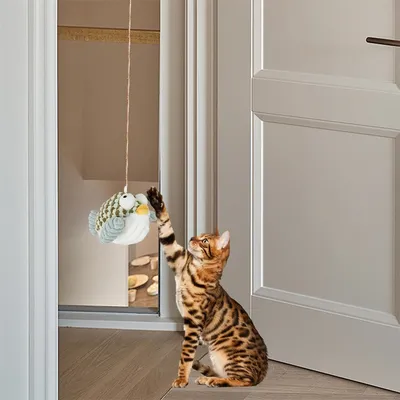 IntiMeg Jouet pour chat suspendu