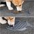 UAMLY Gamelle dalimentation Lente, gamelle Chat Anti glouton