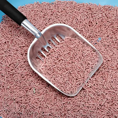 IntiMeg Pelle à litière en aluminium pour chat