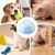 Petopia Boutons parlants pour chien