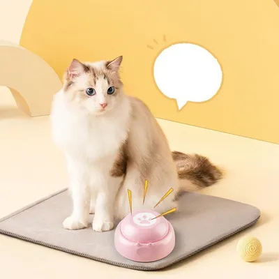 Petopia Boutons parlants pour chien