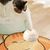 Petopia Boutons parlants pour chien