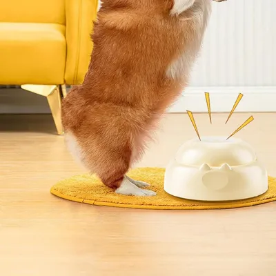 Petopia Boutons parlants pour chien