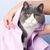 IntiMeg Lot de 5 Peignoirs pour chat