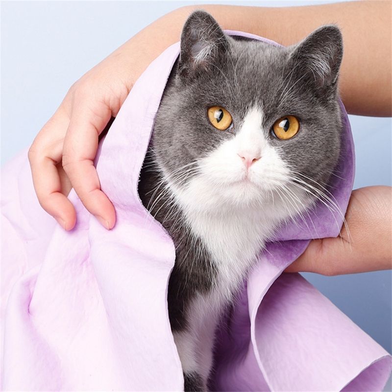 IntiMeg Lot de 5 Peignoirs pour chat