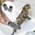 ZenPets Clean Paws Duo Gants Et Serviettes De Nettoyage Pour Et Chat
