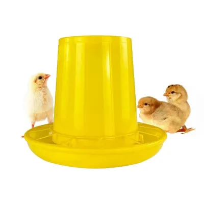 Zenpets Mangeoire et abreuvoir pour poussins