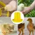 Zenpets Mangeoire et abreuvoir pour poussins