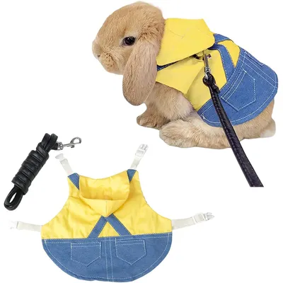 HausPets Harnais Lapin Denim Réglable, Laisse 125 cm, Petits Animaux
