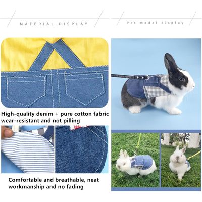 HausPets Arnés Conejo de Denim Ajustable, Correa 125 cm, Mascotas Pequeñas