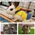 UAMLY Harnais et laisse réglables pour lapin UAMLY Harnais et laisse réglables pour lapin