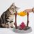 Petopia Jouet distributeur de nourriture en forme de drumstick de barbecue