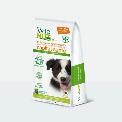 Croquettes chien special junior - 2,5kg Croquettes chien special junior - 2,5kg