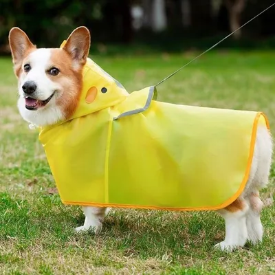 Petopia Veste de pluie pour chien