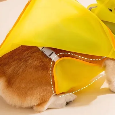 Petopia Veste de pluie pour chien