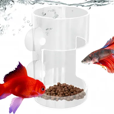 FurryFusion Distributeur de nourriture pour aquarium avec ventouse