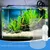 FurryFusion Distributeur de nourriture pour aquarium avec ventouse