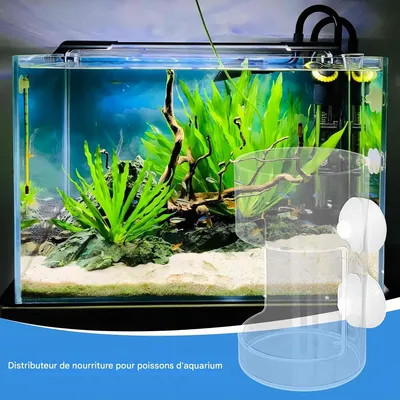 FurryFusion Distributeur de nourriture pour aquarium avec ventouse
