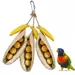 FurryFusion Jouet à mâcher pour oiseaux Pea Pod
