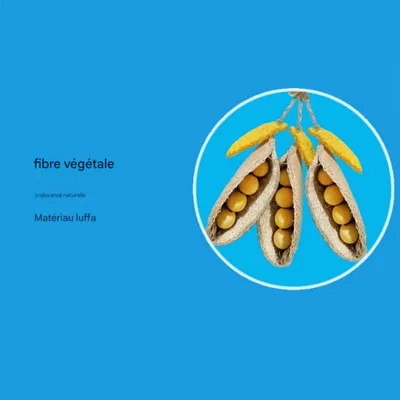 FurryFusion Jouet à mâcher pour oiseaux Pea Pod
