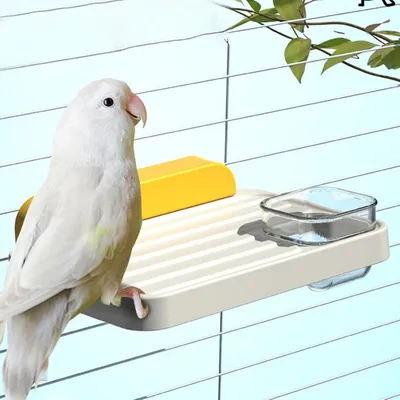 Zenpets Station à oiseaux Paw Grinding Playplatz