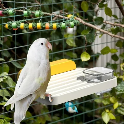 Zenpets Station à oiseaux Paw Grinding Playplatz