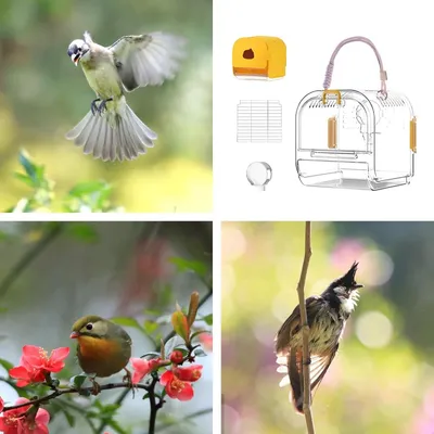 Zenpets Cage d'oiseau pour perruche