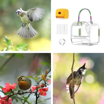 Zenpets Cage d'oiseau pour perruche