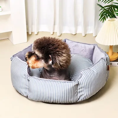 FurryFusion Nid pour chien et chat rayé