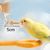 Zenpets Distributeur d'eau pour oiseaux