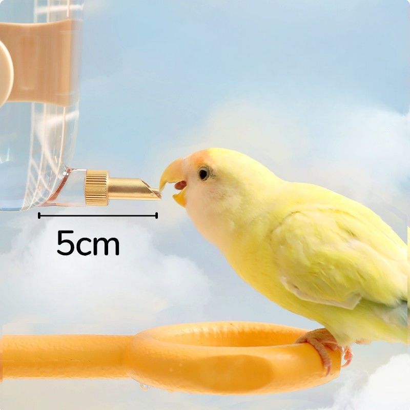 Zenpets Distributeur d'eau pour oiseaux