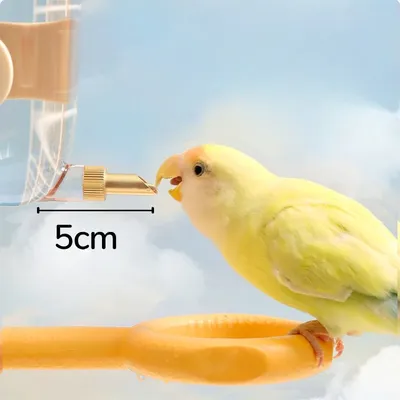 Zenpets Distributeur d'eau pour oiseaux