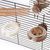 ZenPets FlyFree Mangeoire Et Distributeur 3 Pack Pour Oiseaux