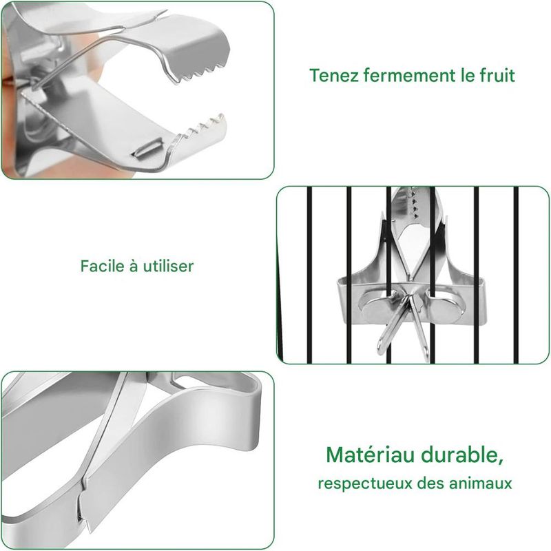 IntiMeg Porte - Nourriture pour oiseaux 5 Pcs