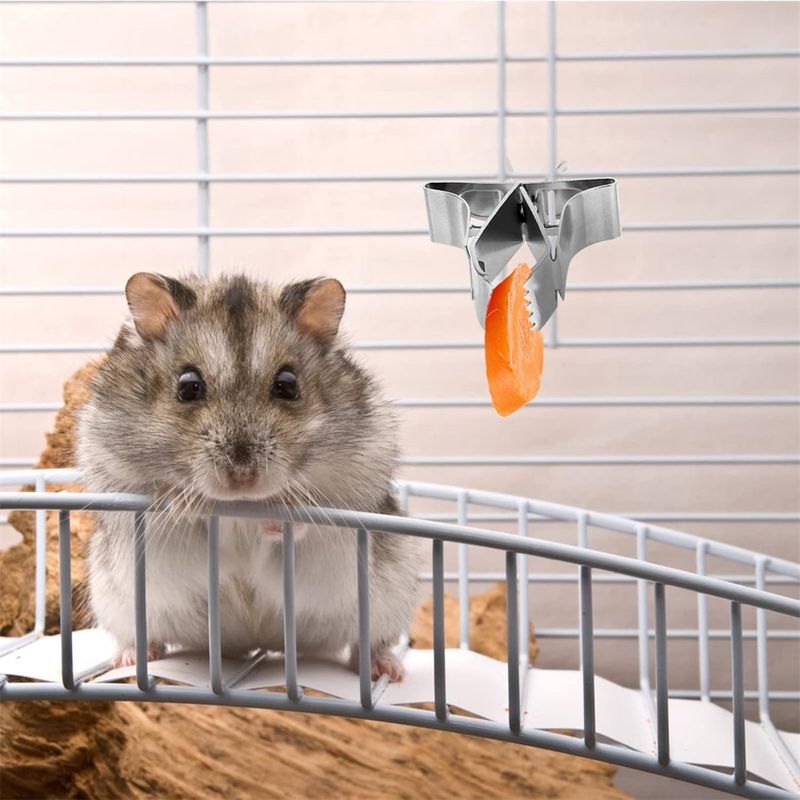 IntiMeg Porte - Nourriture pour oiseaux 5 Pcs