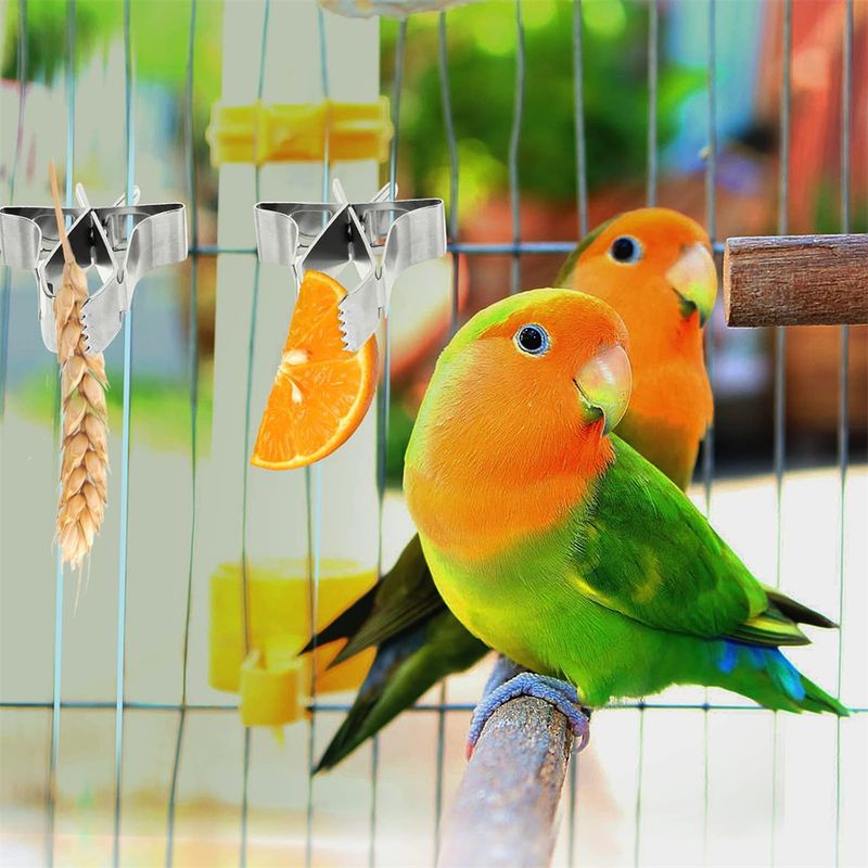 IntiMeg Porte - Nourriture pour oiseaux 5 Pcs