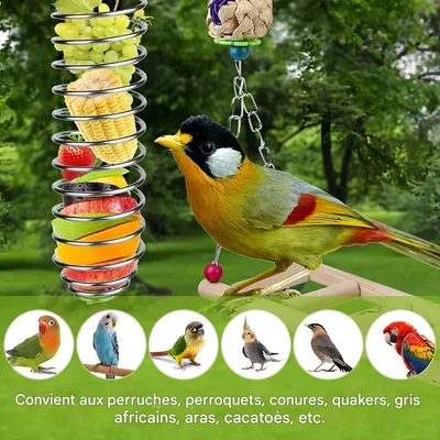 FurryFusion Panier de nourriture pour perroquet