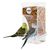 FurryFusion Mangeoire automatique pour oiseaux